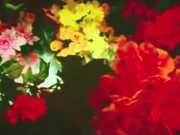 喷血推荐骚到骨子里的红色妖姬极度调教小伙给她舔骚逼喝尿