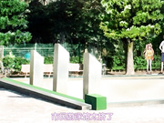 [Collaboration Works]バカな妹を利口にするのは俺の××だけな件について コスプレ爛漫！！ 御津井 芭華一番好きなのは、お兄ちゃん編