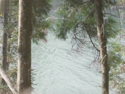 家庭裸体日 同学妈妈放荡勾引