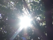 [DVDES-676] 危险日只是被触摸就剧烈痉挛的世界 夏目優希 大槻响 友田彩也香【破解】 - 1of5