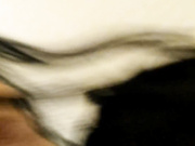 人妻殺手曹哥酒店私會背著老公出來偷情的劇場演員小姐姐 屁股肥大後入幹得直叫求饒 舌頭功夫絕對一流 東北話搞笑對白 1080P高清原版