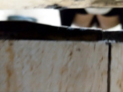 最新流出國內廁拍大神四處遊蕩尾隨美女進入公共女廁近距離拍攝 形態各異姿勢看得讓人欲火焚身 1080P原版高清