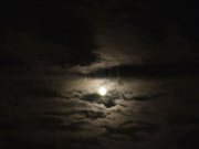 [ALDN-444] 兄嫁と中出ししまくった数日間 美園和花 - 1of5