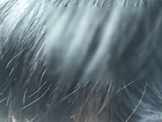 【挑逗车震系列】和新来的经理秘书停车场车上玩刺激 深喉舔蛋技术超赞 操嘴口爆 玩跳蛋插叙穴高清无水印