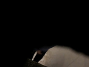 贵在真实，出租房气窗冒死偷拍，合租姐妹日常洗香香，身材都不错，扎马步洗逼