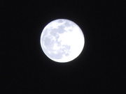 [IPZZ-051] 隣のドスケベ奥さんがパンティを干す昼下がりは欲求不満のサイン 天海つばさ 【破解】 - 1of5