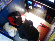 黑客破解KTV包房监控偷拍❤️红衣妹子刚进来不久就迫不及待脱下帅哥的裤子吃硬鸡巴一边唱歌一边操她