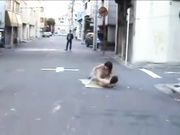 大街上铺张席子就干