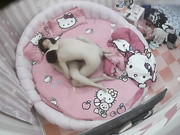 酒店水滴摄像头监控TP考完试出来放松的情侣看她俩玩的样子学问很高深啊