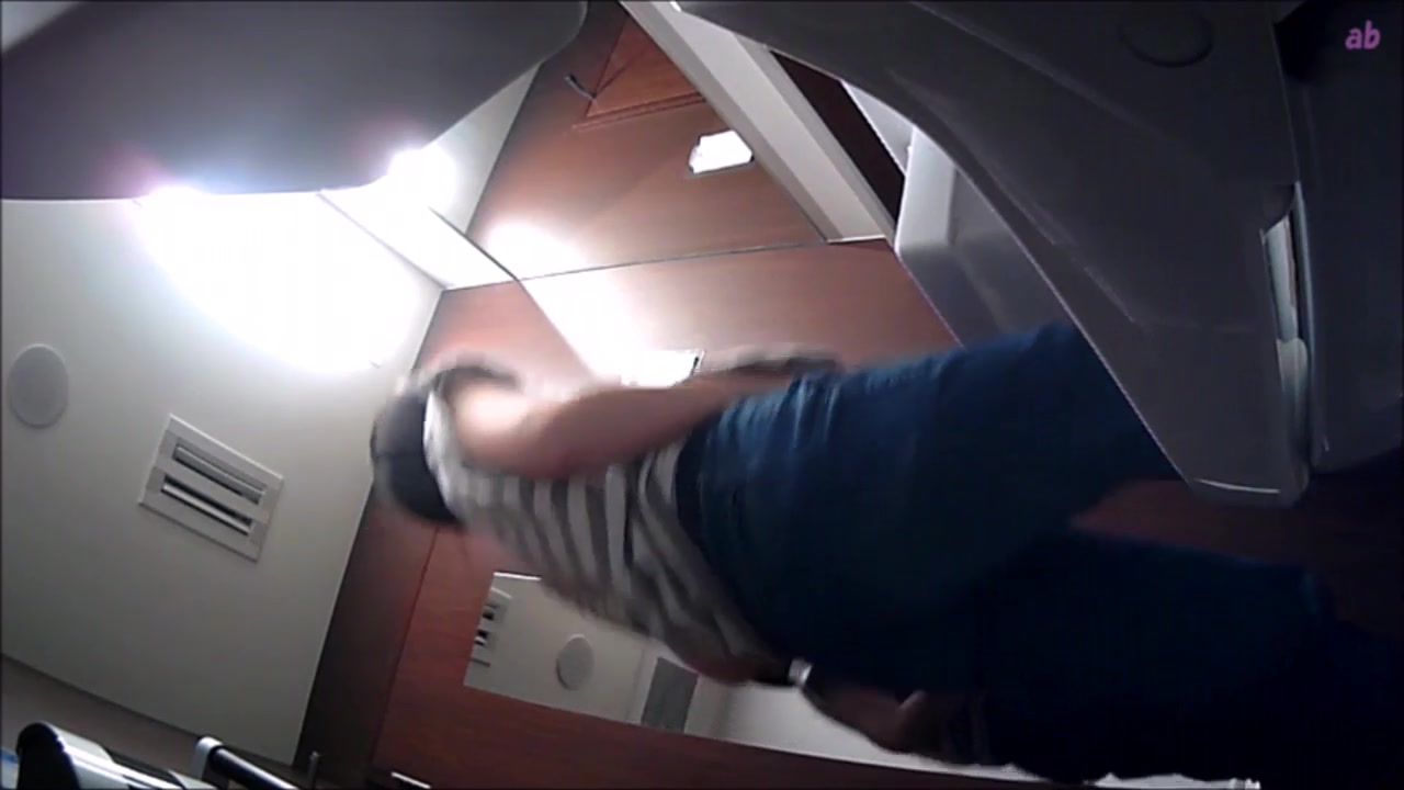 最新流出美女如云的餐厅高级坐厕偷拍第15季眼镜美眉逼毛黑又多