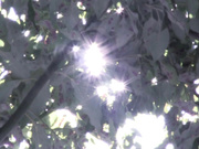 [SHKD-504] 男の純情强奸 運命の再会 みなみ愛梨 1