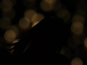 VivThomas.18.11.07.Luna.Corazon.And.Nata.Before.We.Slee