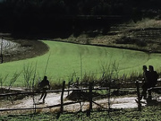 国内被禁的超真实作品《盲山无删减完整版》激情佳作 美女大学生被卖到山村被强暴怀孕肉欲啪啪多次