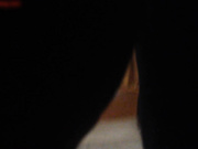 小伙子太猛了把美女干的直叫下一次不来了 美女说受不了你太厉害了干的我腰疼