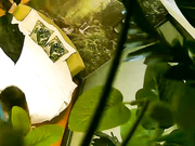 丰满性感的美女酒店不愿意和认识没多久的纹身男啪啪,被男的3次扑倒在床上最后强插进去干完后再操时乖乖配合!