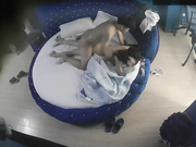 专业炮房猥琐小青年与身材苗条美乳女友啪啪啪肏的很猛把小女友干的尖叫不止淫叫说老公好长太能叫了要哭了