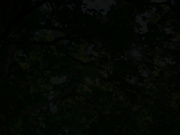 [KAWD-852] 清秀容貌的变态美少女AV演出志愿 藤堂みかん - 1of5