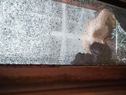 偷拍楼上小妹妹洗澡0