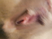 网红嫩妹二次元爆乳F奶在校大眼睛学生美女日常福利视频集发育过猛这对车大灯是真的极品