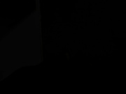 历史最佳深喉。我送给我老公一个亚洲骚逼作为礼物