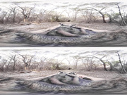 VR BANGERS-Bridgette B Teach Dillion Harper How To Blow!