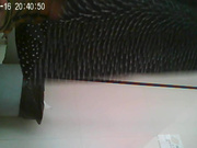 KC布艺全景系列59裙子好长的少妇