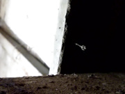 隔壁放假来父母家玩的医科大学生1m16s