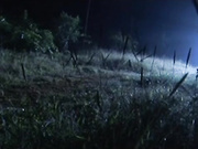 聊斋艳谭14连锁