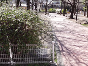 [SUJI-170] ●学生騙し媚薬わいせつ強● - 3of5